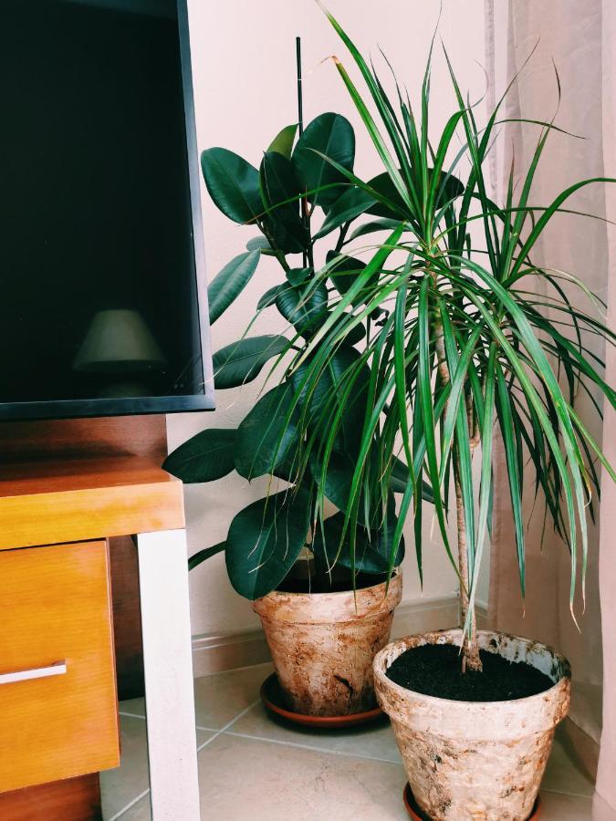 Kintsugi House 拉哥斯 外观 照片